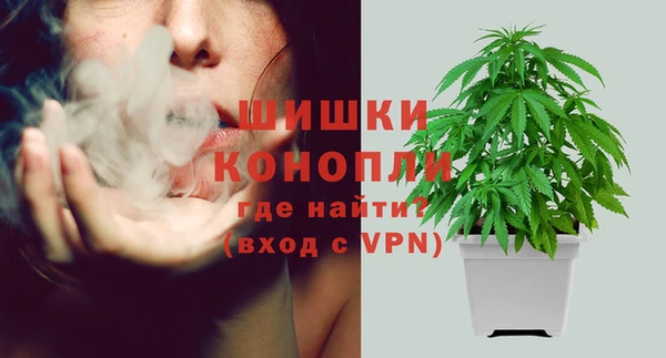 стафф Абаза
