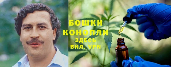 стафф Абаза