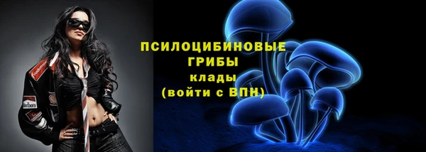стафф Абаза