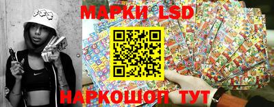 прущие крисы Славгород