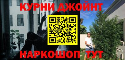 гидропоника Сланцы