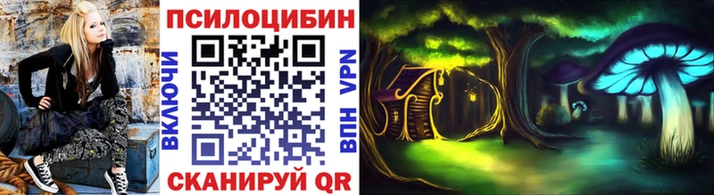 Галлюциногенные грибы Psilocybe  Протвино 