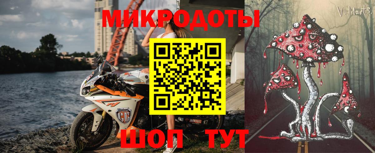 Псилоцибиновые грибы Cubensis  Вход с VPN  что такое наркотик  Галлюциногенные грибы прущие грибы  Протвино 